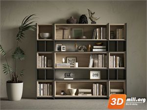 Bookcase Skp Files